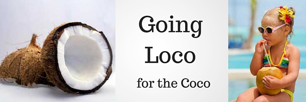 A Guide to Coconut Food Products