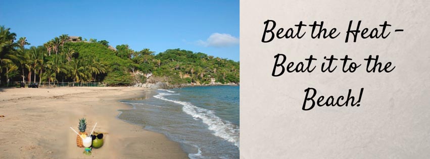 Punta Mita Beach Newsletter